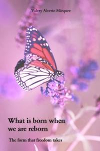 What Is Born When We Are Reborn