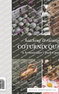 Hatching & Raising Quail A Homesteader's Guide