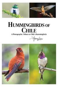 Hummingbirds of Chile
