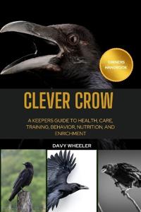 Clever Crow