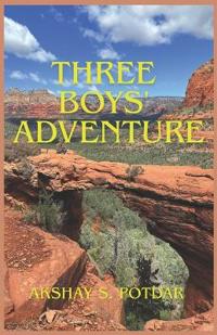 Three Boys' Adventure