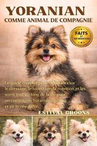 Yoranian Comme Animal de Compagnie