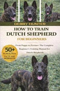 How to Train Dutch Shepherd for Beginners