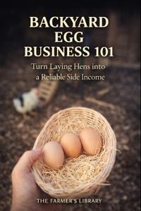 Backyard Egg Business 101