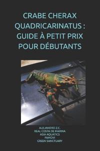 Crabe Cherax Quadricarinatus