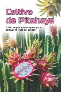 Cultivo de Pitahaya
