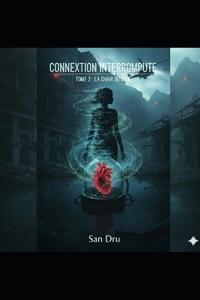 Connexion Interrompue