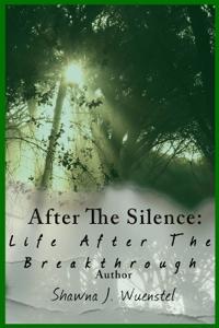 After the Silence