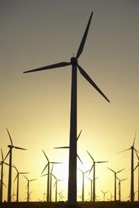 Beyond the Tariff