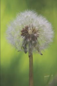 Hope for the Hurting Heart