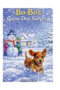 Bo Bo's Snow Day Surprise