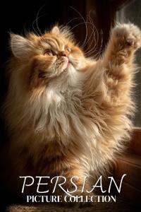 Persian Cat Photo Collection