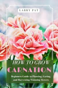 How to Grow Carnation