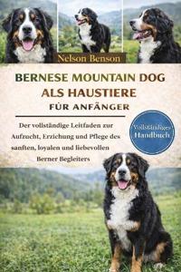 Berner Sennenhunde als Haustiere