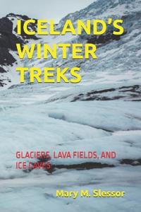 Iceland's Winter Treks