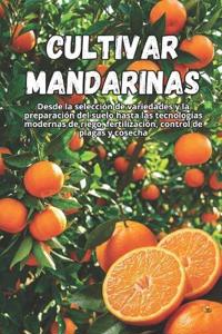 Cultivar mandarinas