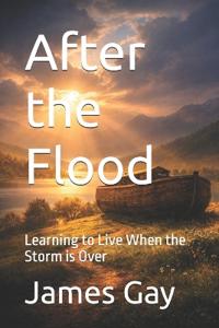 After the Flood