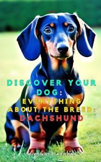Discover your dog