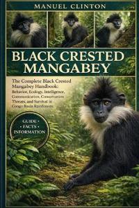 Black Crested Mangabey