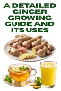A Detailed Ginger Growing Guide and Its Uses