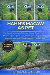 Hahn's Macaw as Pet