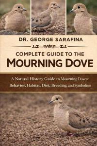 Complete Guide to the Mourning Dove
