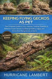 Keeping Flying Geckos as Pet