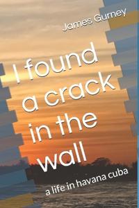I found a crack in the wall