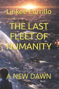 The Last Fleet of Humanity