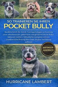 So Trainieren Sie Ihren Pocket Bully