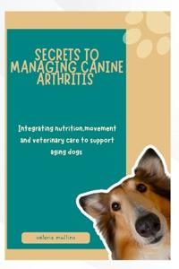 Secrets to Managing Canine Arthritis