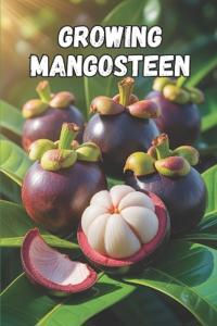 Growing Mangosteen