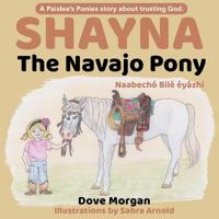 Shayna, the Navajo Pony