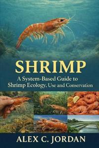 Shrimps