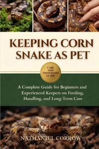 Keeping Corn Snake as Pet