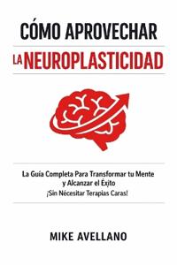 Cómo Aprovechar La Neuroplasticidad