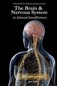 The Brain & Nervous System in Adrenal Insufficiency