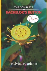 The Complete Bachelor's button Flower