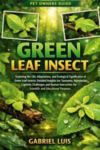 Green Leaf Insect