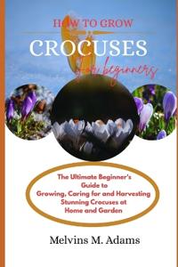 How to grow Crocuses flower for beginners