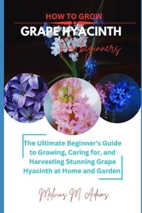 How to grow Grape Hyacinth flower for beginners