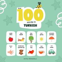 First 100 Words in Turkish