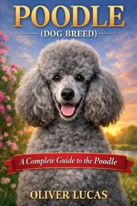 Poodle ( Dog Breed )