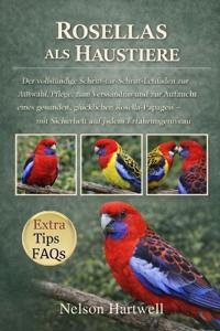Eclectus-Papageien ALS Haustiere