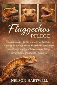Fluggeckos Pflege