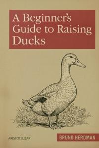 A Beginner's Guide to Raising Ducks