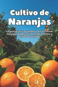 Cultivo de Naranjas