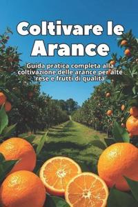Coltivare le Arance