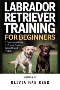 Labrador Retriever training for beginners