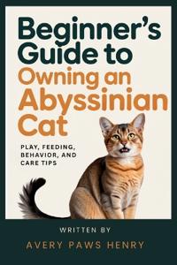 Beginner's Guide to Owning an Abyssinian Cat